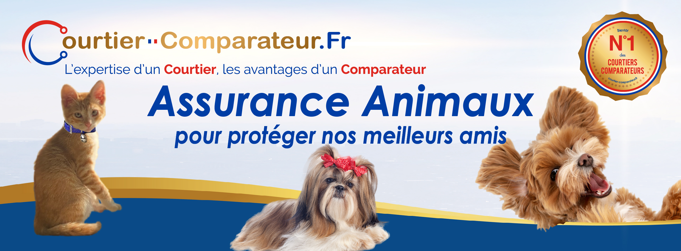 Courtier Comparateur, Assurance auto, mutuelle santé, crédit, prêt, protection juridique, mutuelle chat ,mutuelle chien, mutuelle animaux 